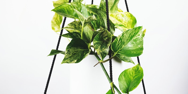 世界杯体育场外部夜景与灯光璀璨的建筑景观